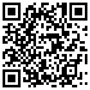 手机/微信访问网站